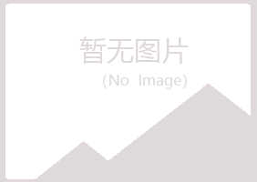 大兴安岭紫山制造有限公司